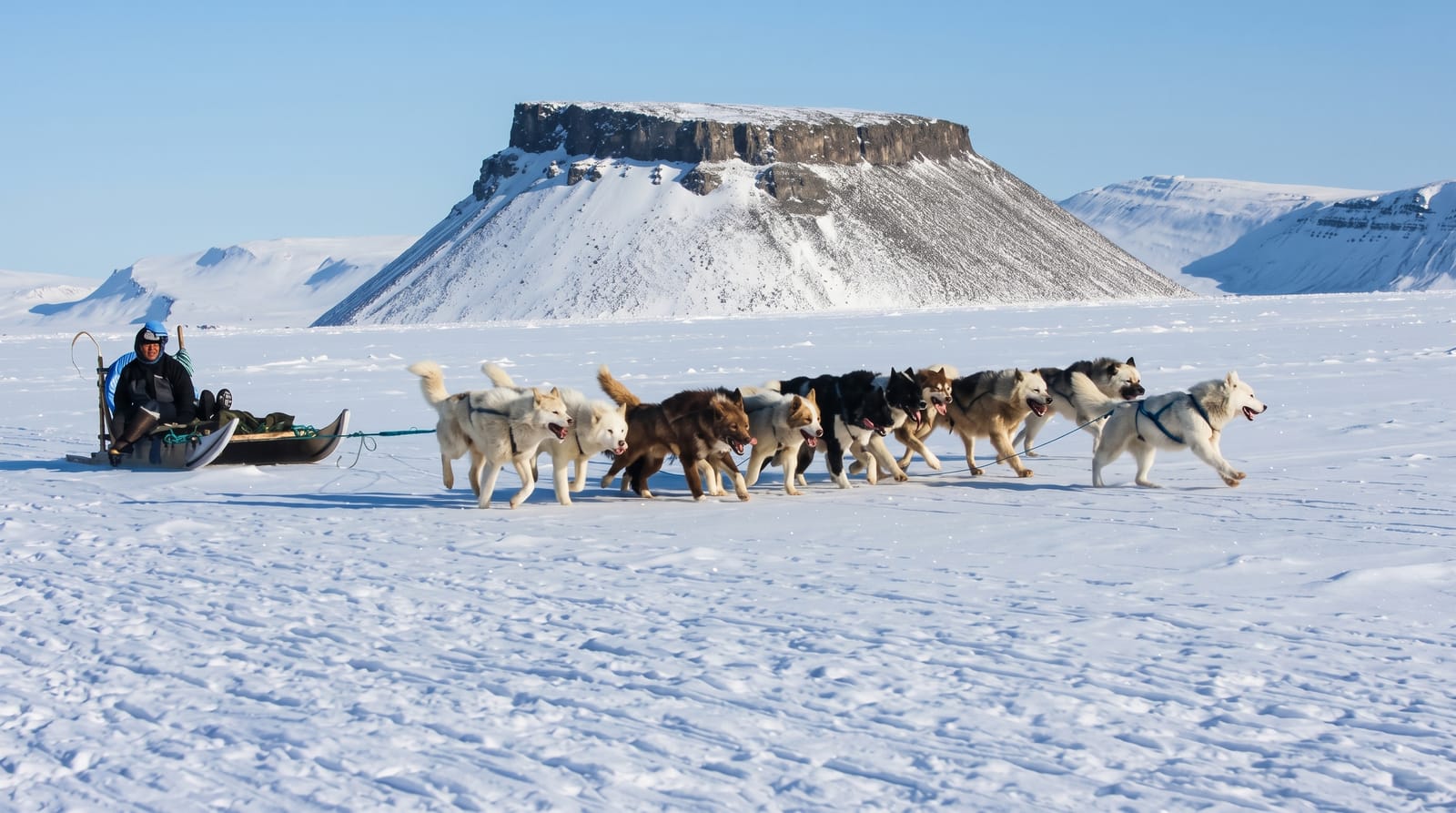 Inuit Culture and Dog Sledding