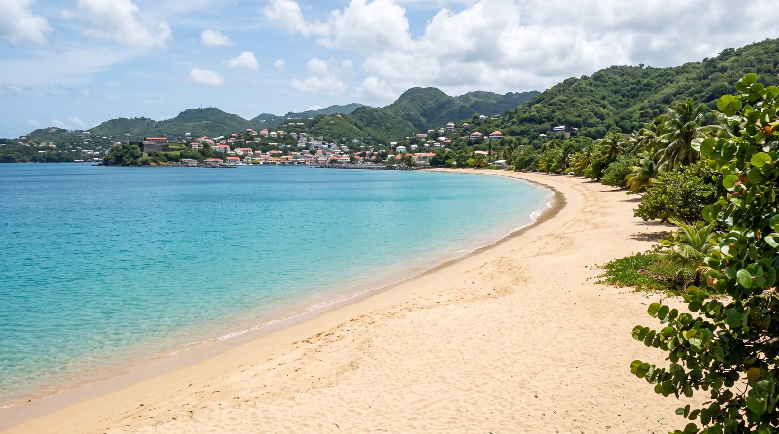 Grand Anse and the Beaches