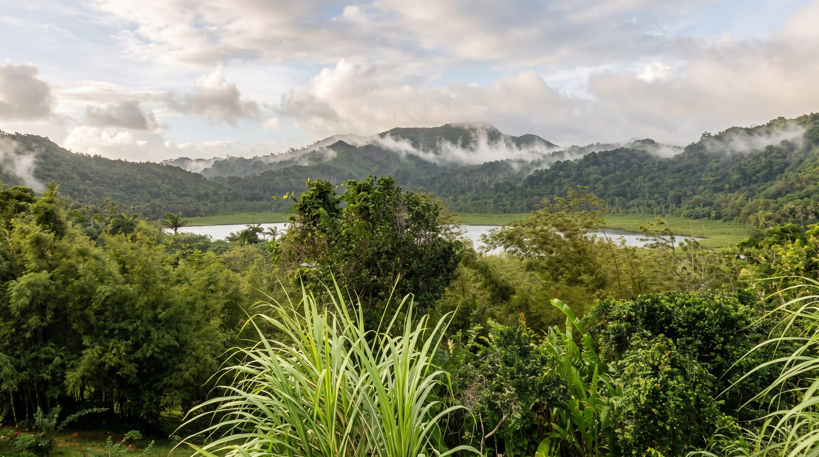Grand Étang National Park