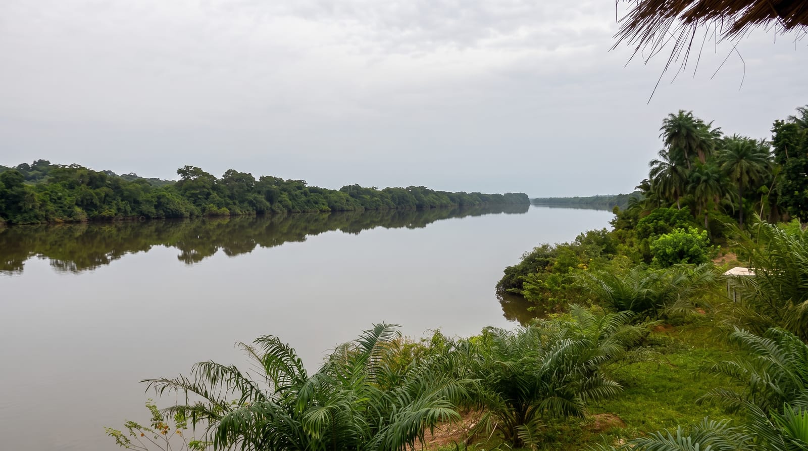 Saltinho