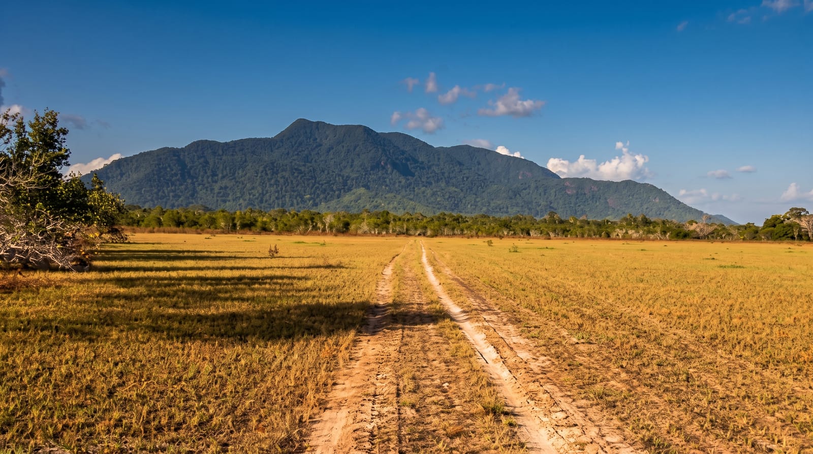 The Rupununi Savannah