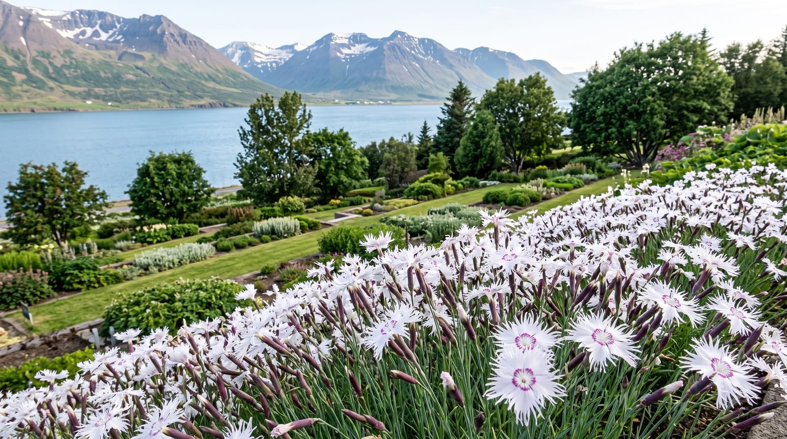 Akureyri Botanical Garden