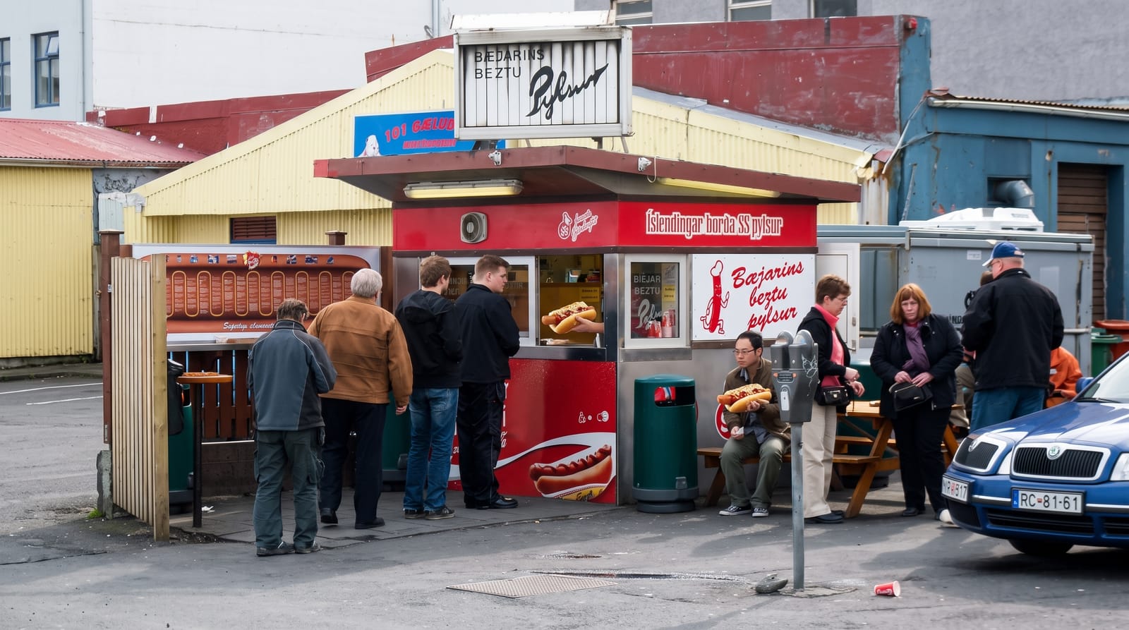 The Icelandic Hot Dog