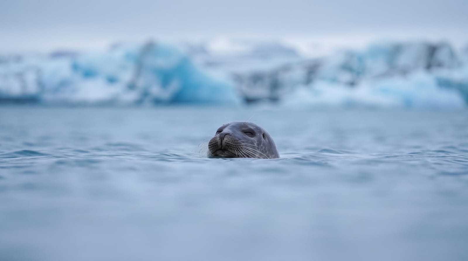Jokulsarlon Glacier Lagoon