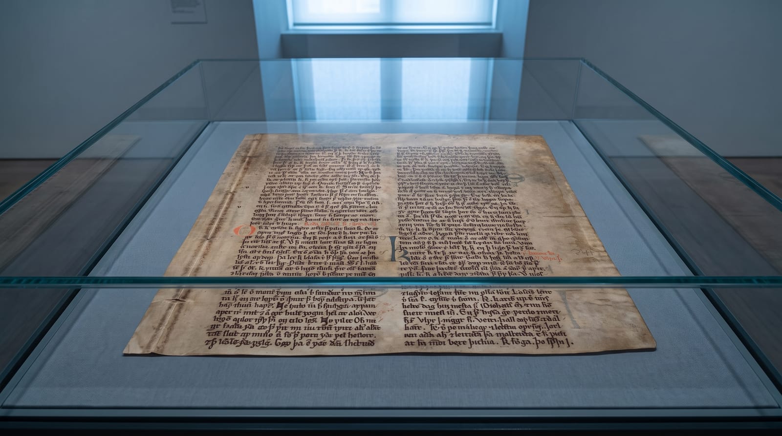 The Saga Manuscripts
