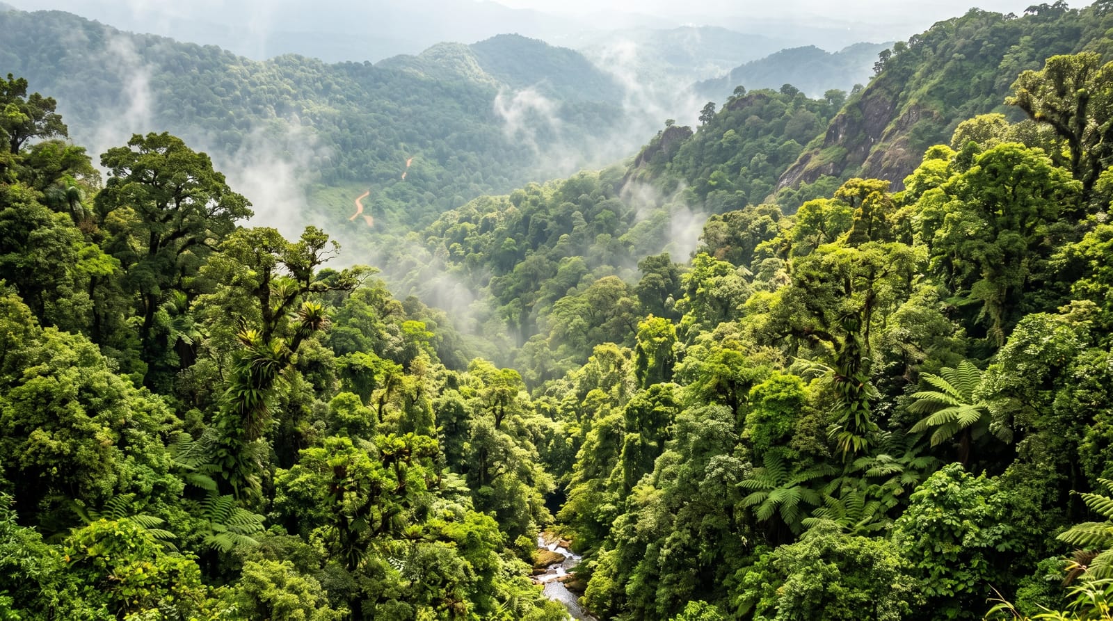 Agumbe