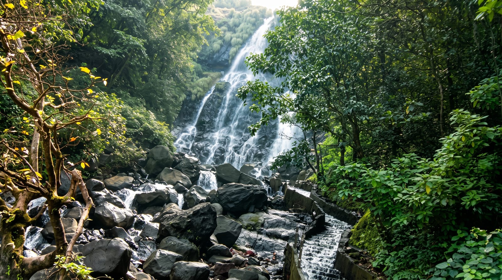Amboli