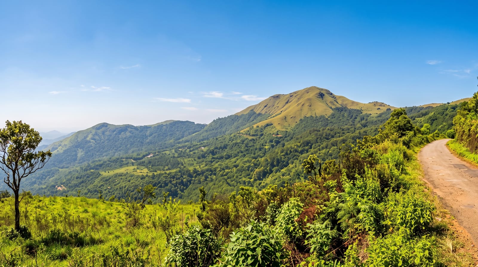 Chikmagalur