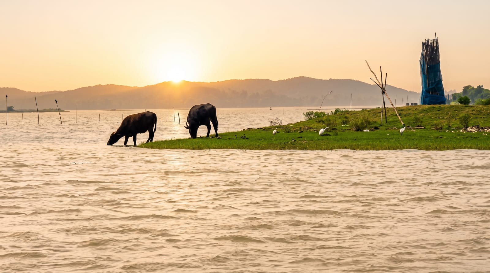 Chilika Lake