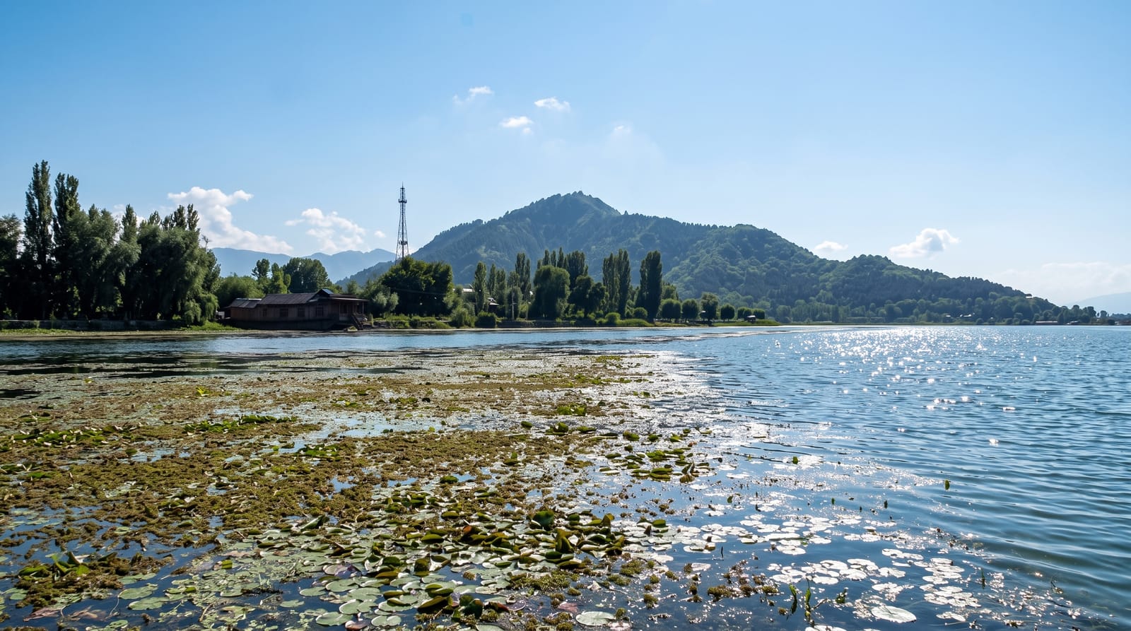Dal Lake, Srinagar
