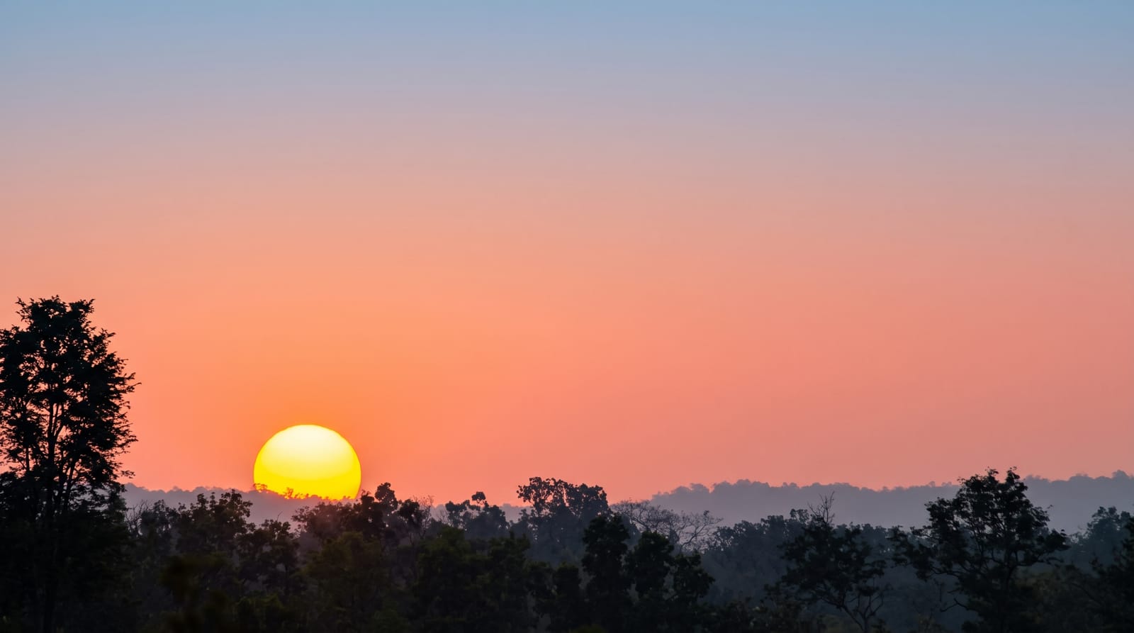 Dandeli
