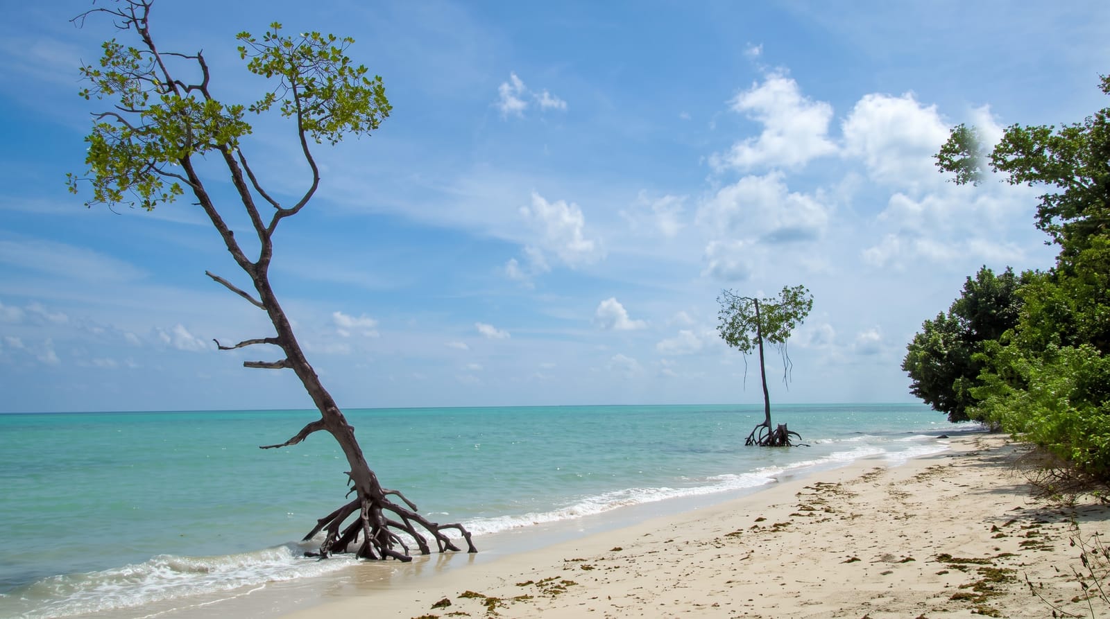 Havelock Island
