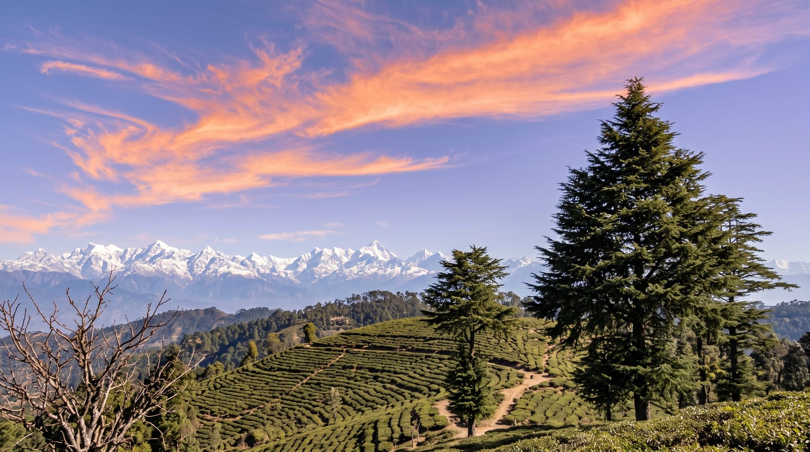 Kausani