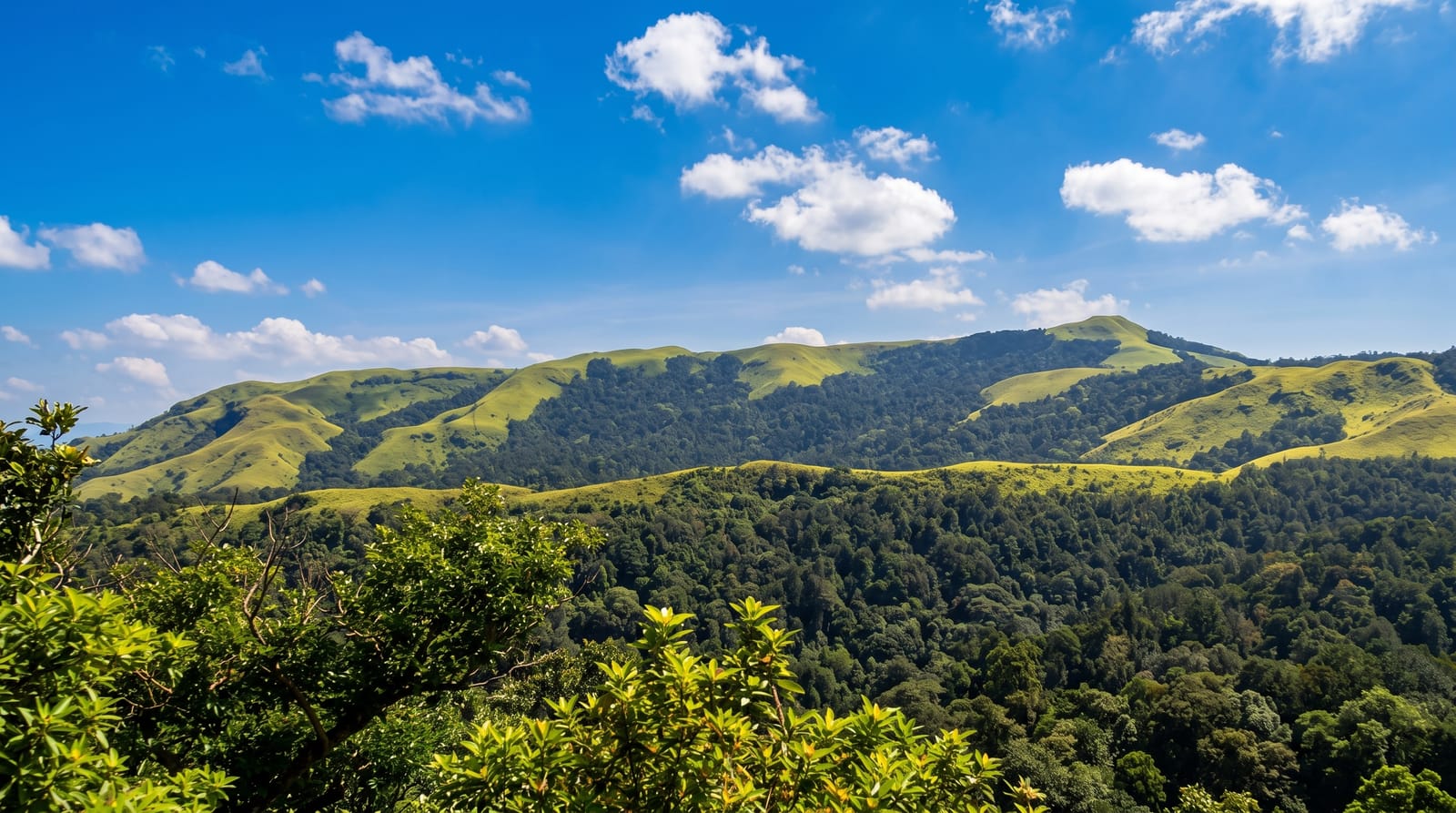 Kudremukh National Park