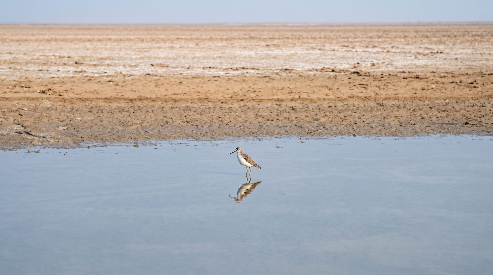 Little Rann of Kutch