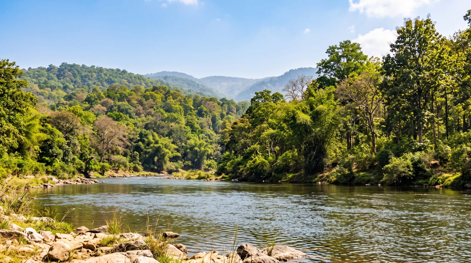 Mudumalai National Park