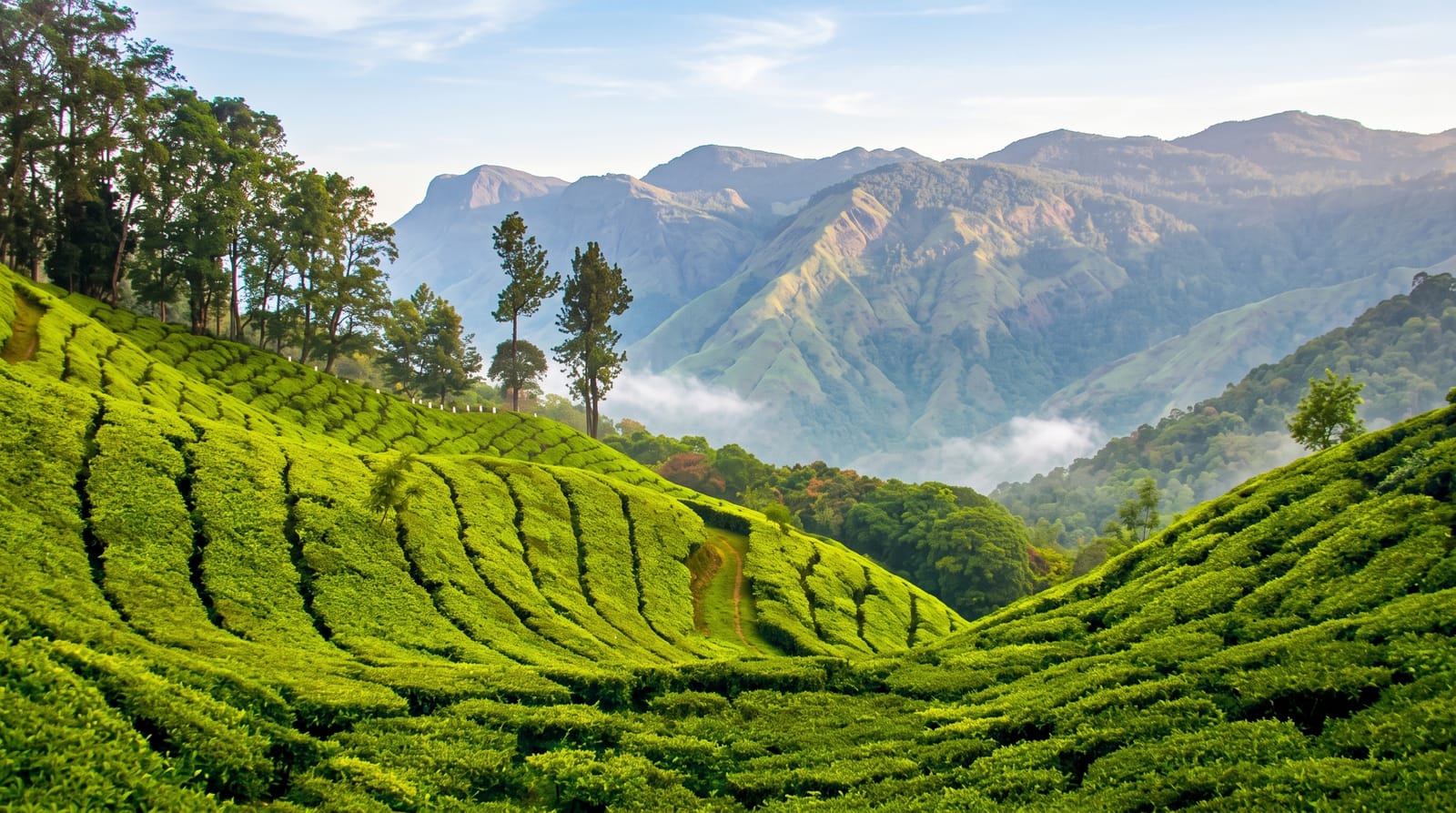 Munnar
