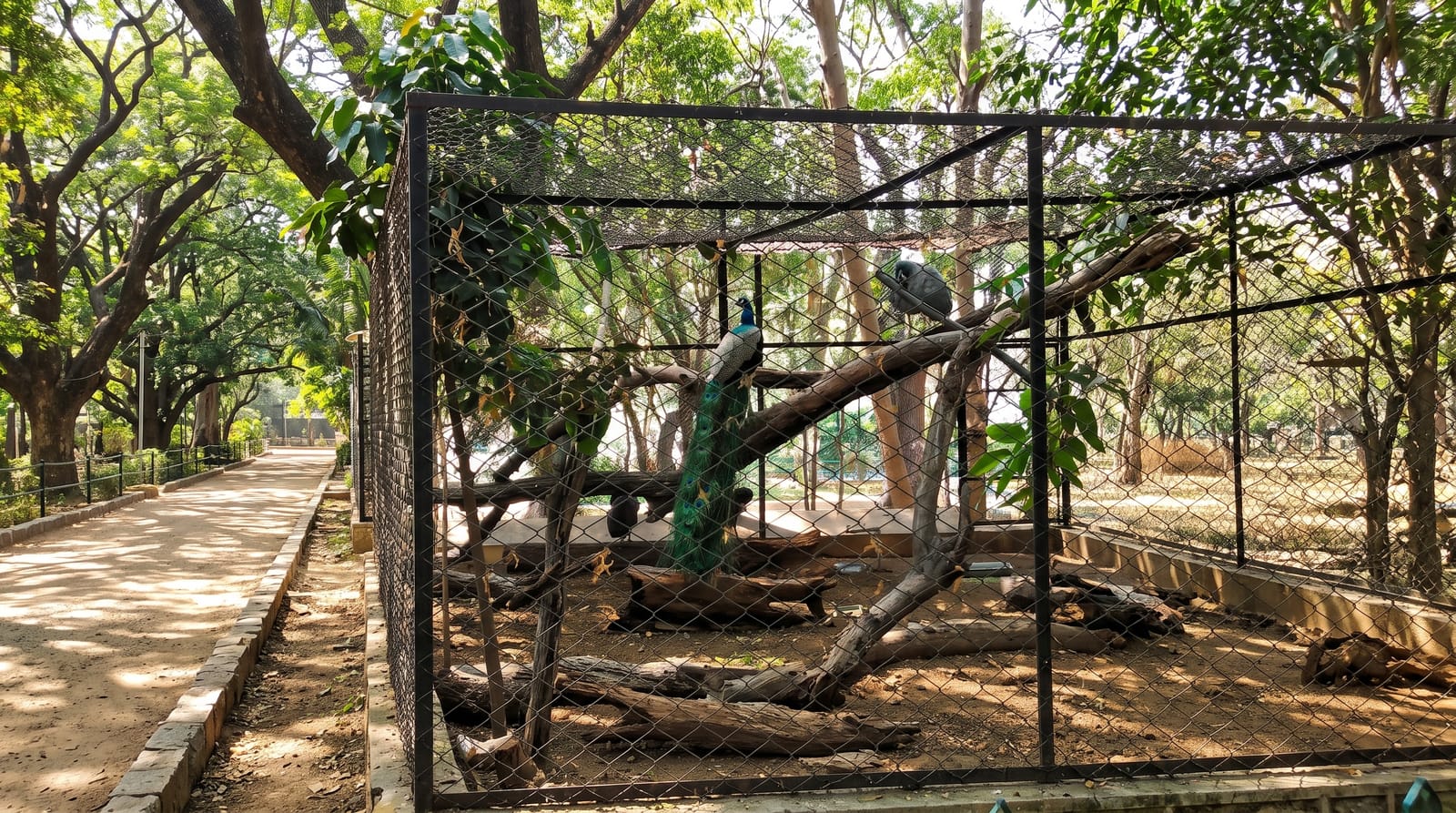 Mysore Zoo