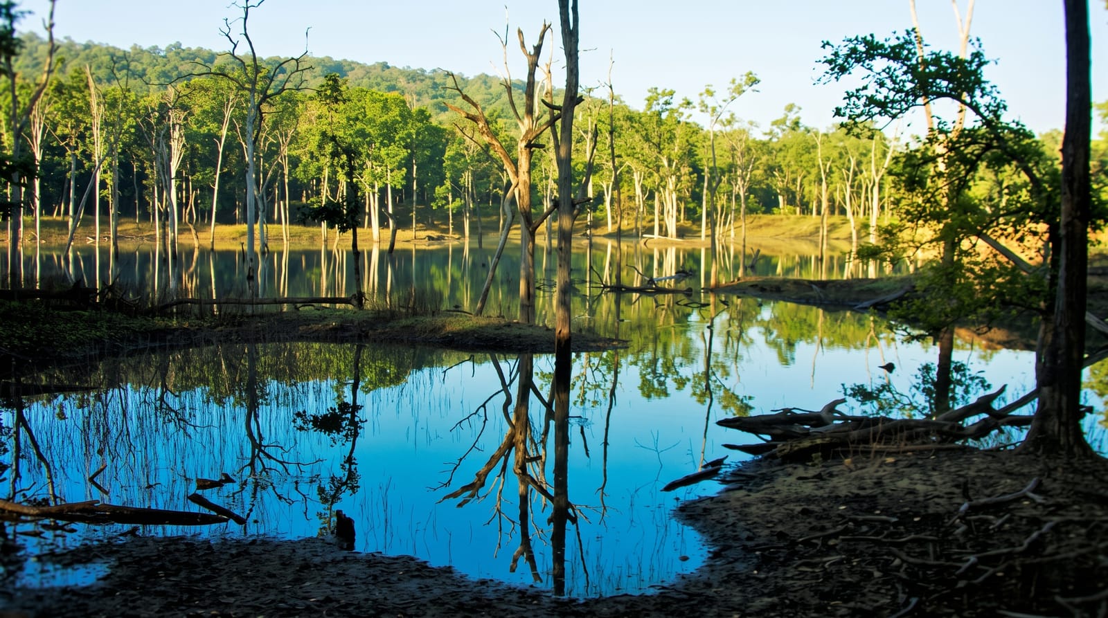 Pench National Park