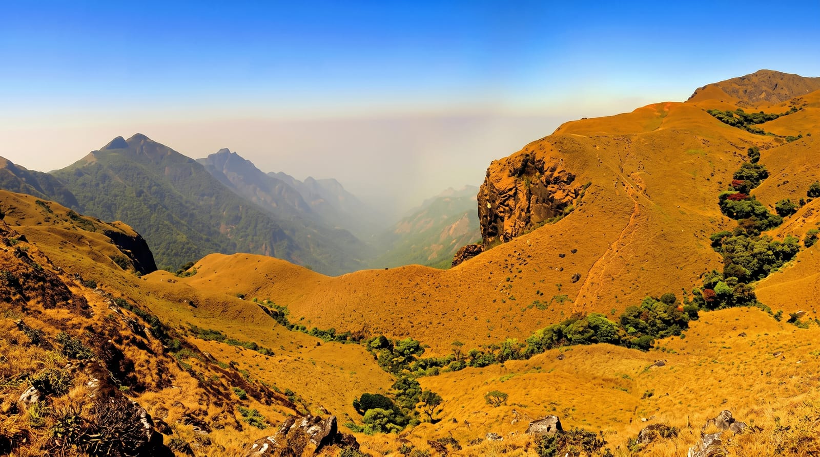 Silent Valley National Park
