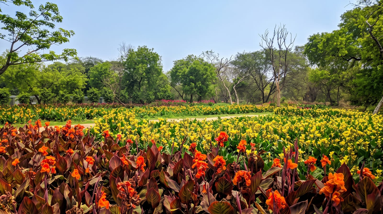 Sunder Nursery