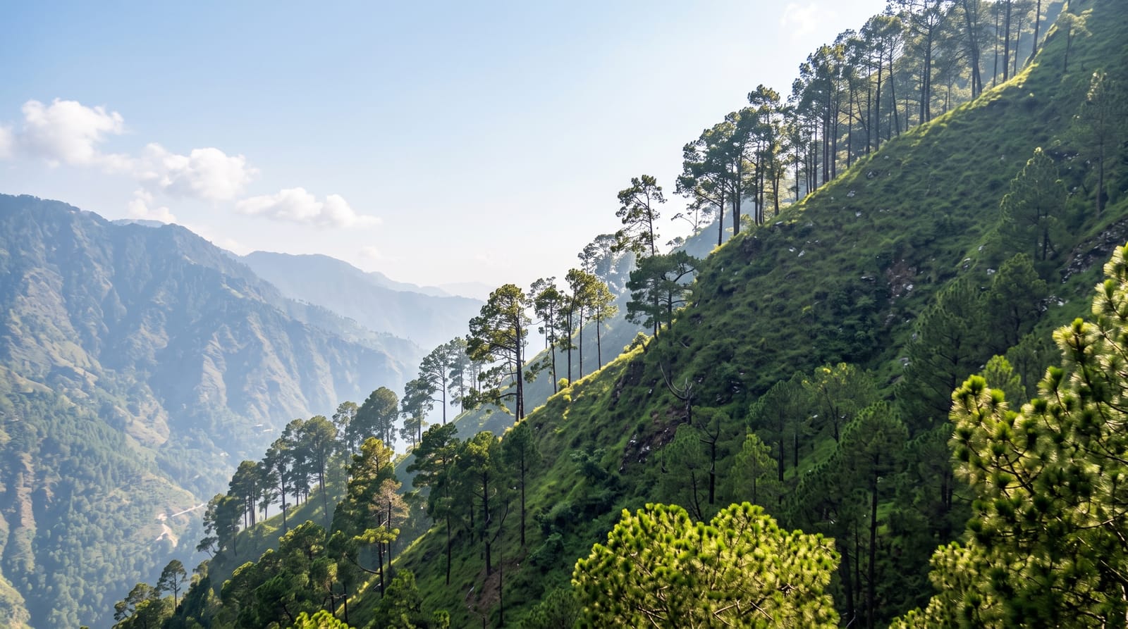 Vaishno Devi