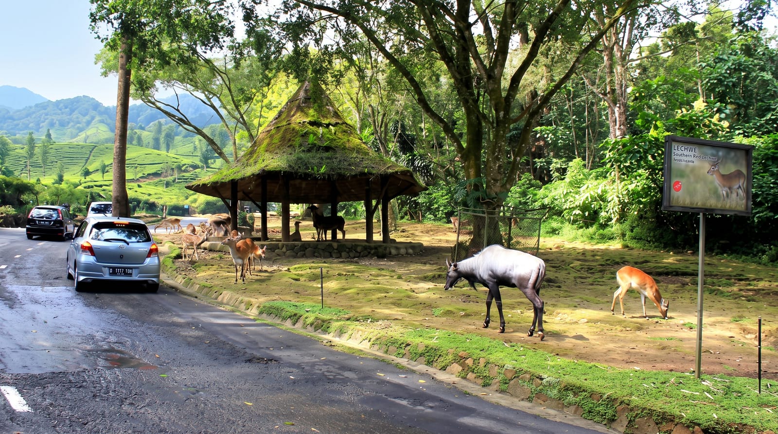 Taman Safari Bogor