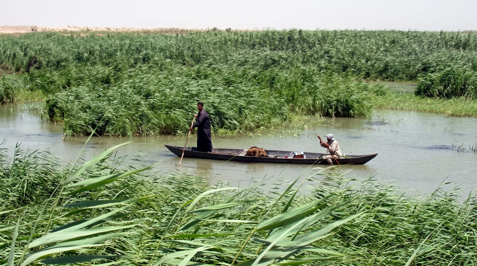The Mesopotamian Marshes