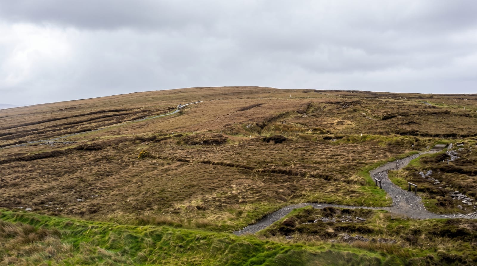 Ceide Fields