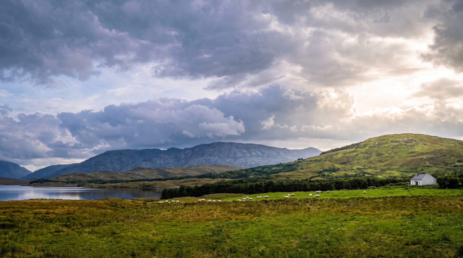 Connemara