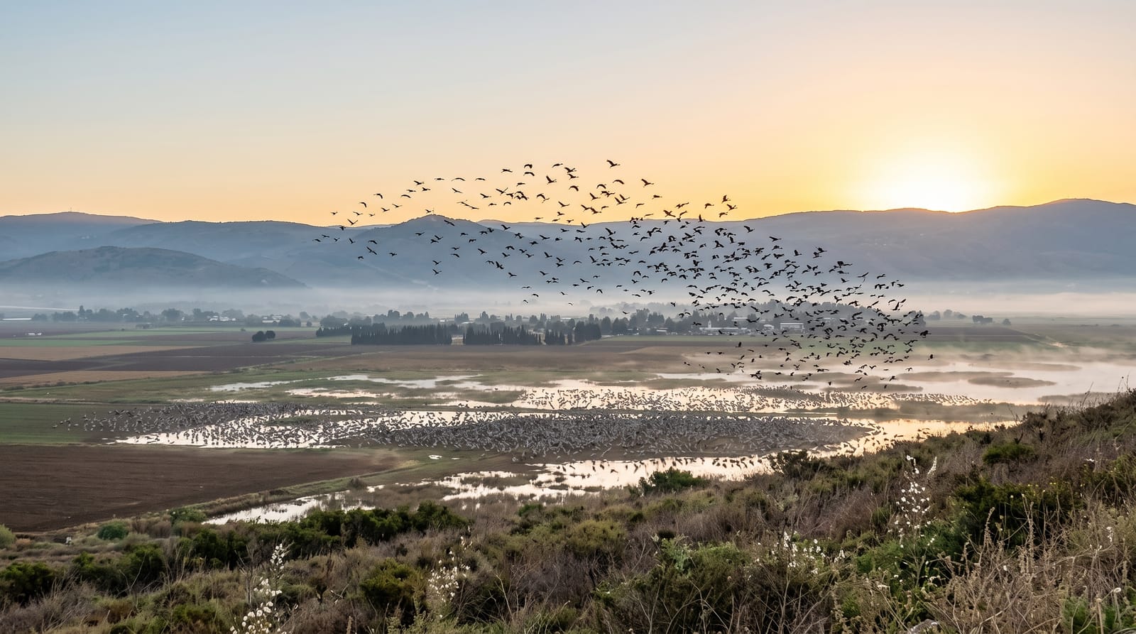 The Hula Valley