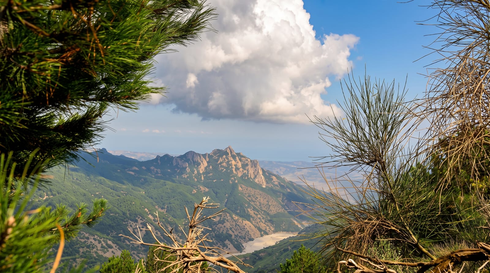 Aspromonte National Park