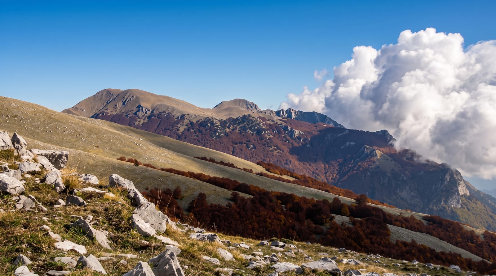 Pollino National Park