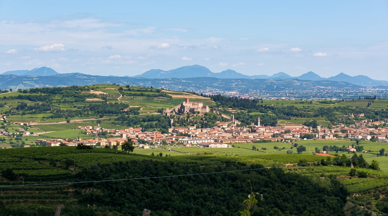 Soave
