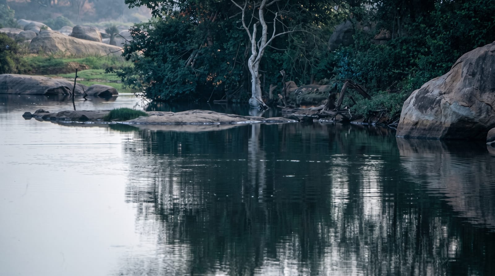 Comoe National Park