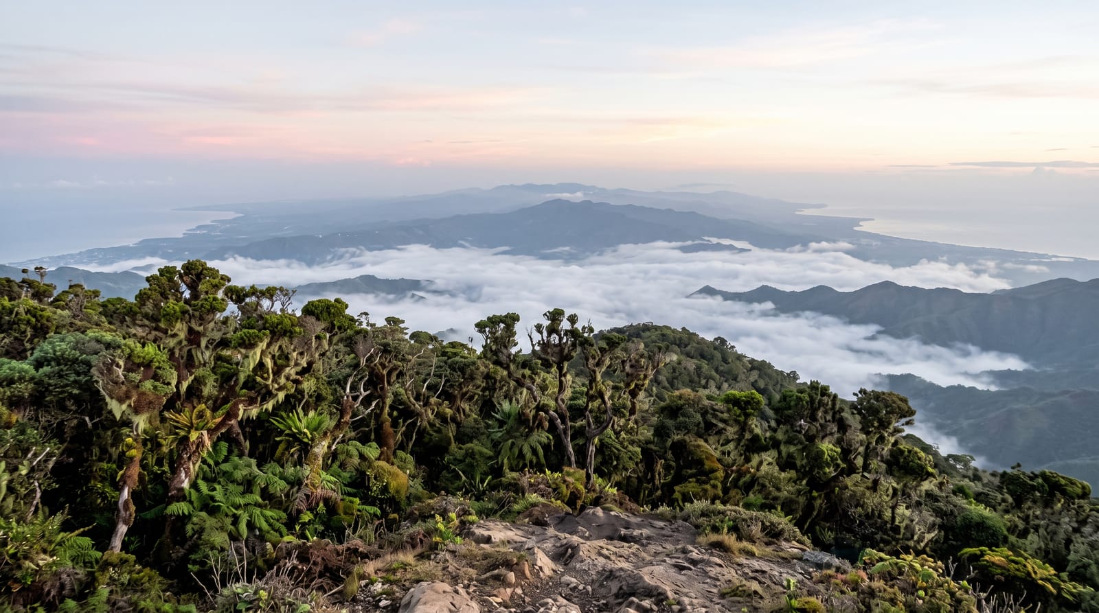 Blue Mountain Peak