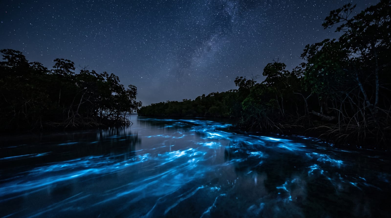 Luminous Lagoon
