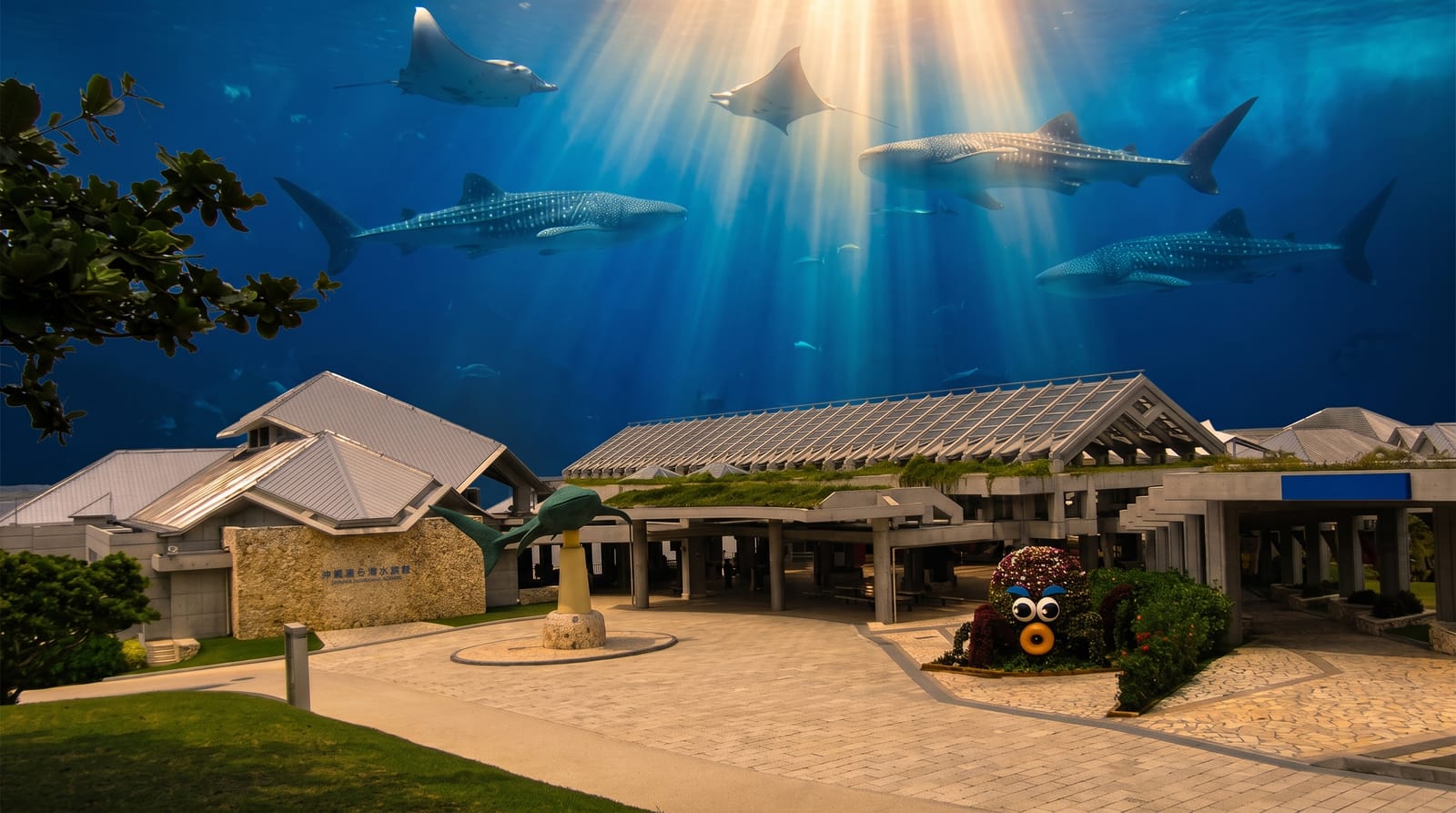 Okinawa and Churaumi Aquarium