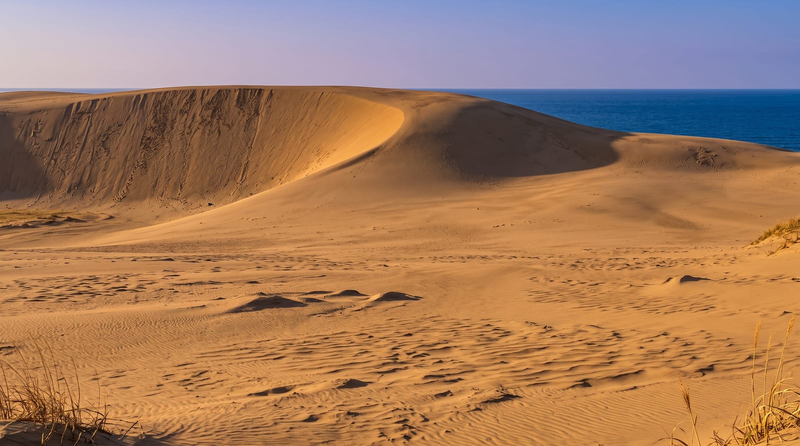 Tottori Sand Dunes