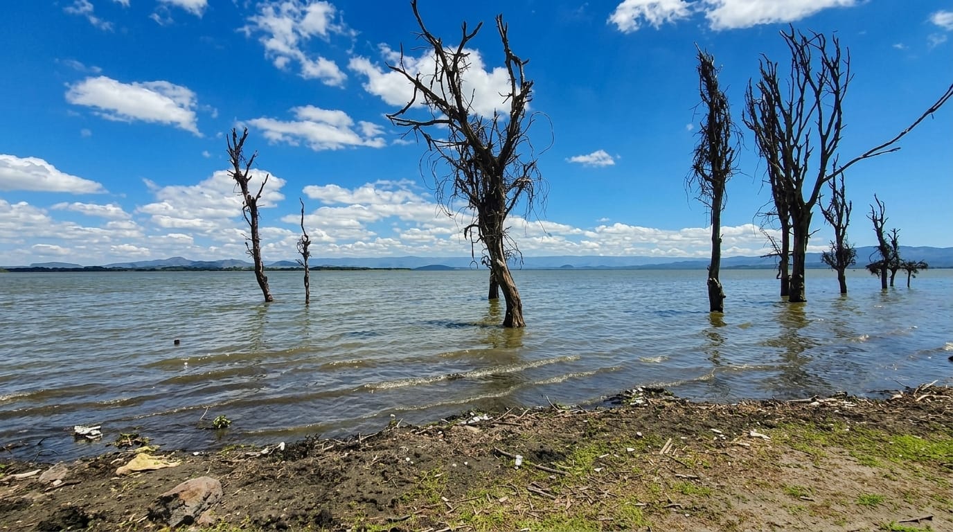 Lake Naivasha