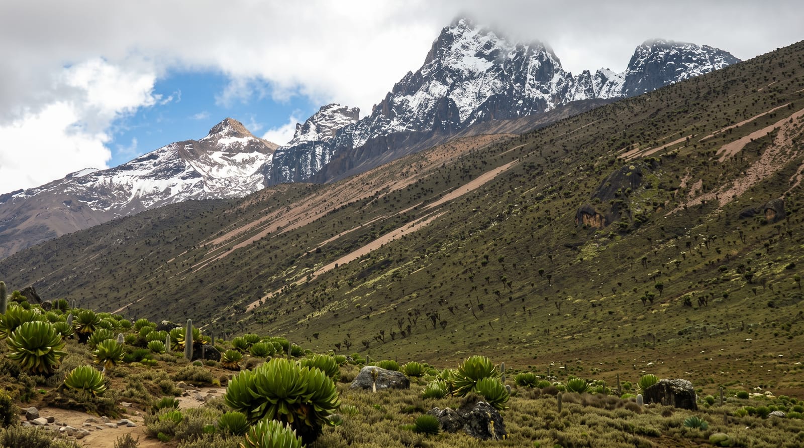 Mount Kenya