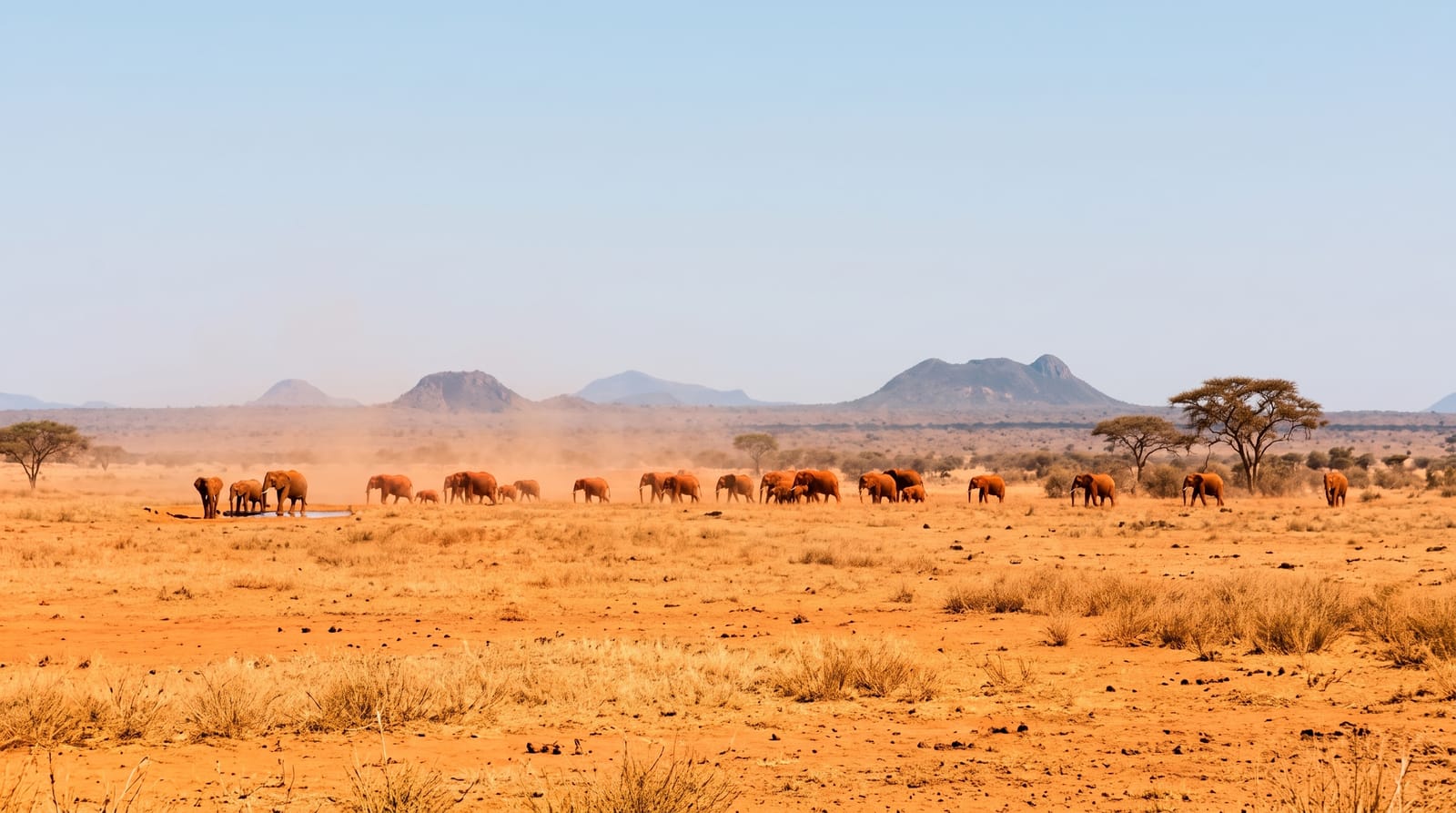 Tsavo East and Tsavo West