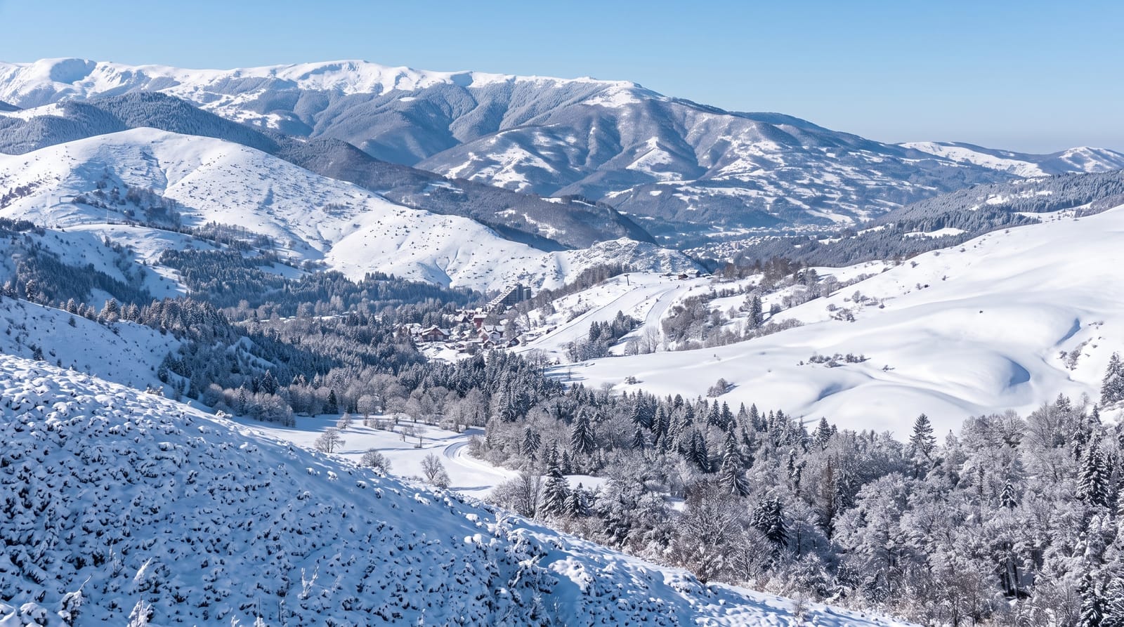 Brezovica
