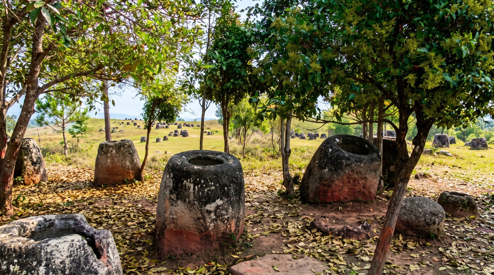 The Plain of Jars