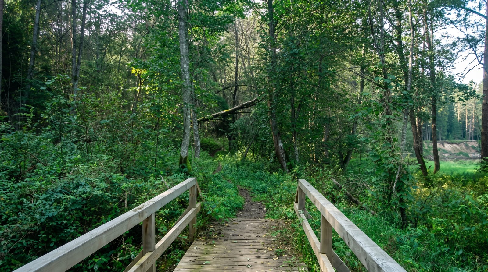 Ligatne Nature Trails