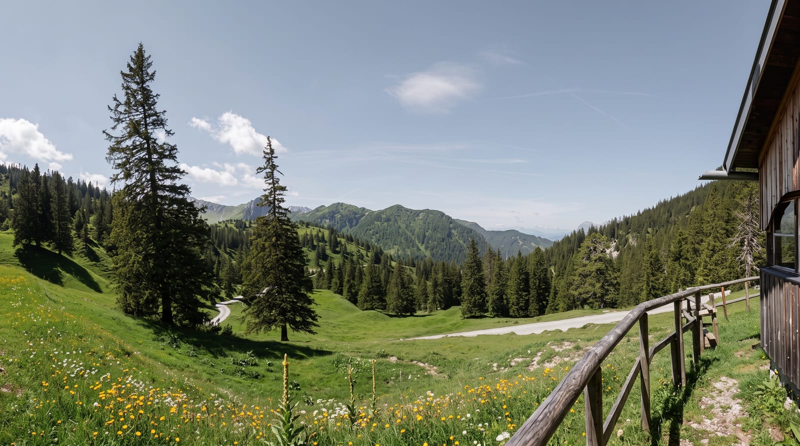 The Alps and Malbun
