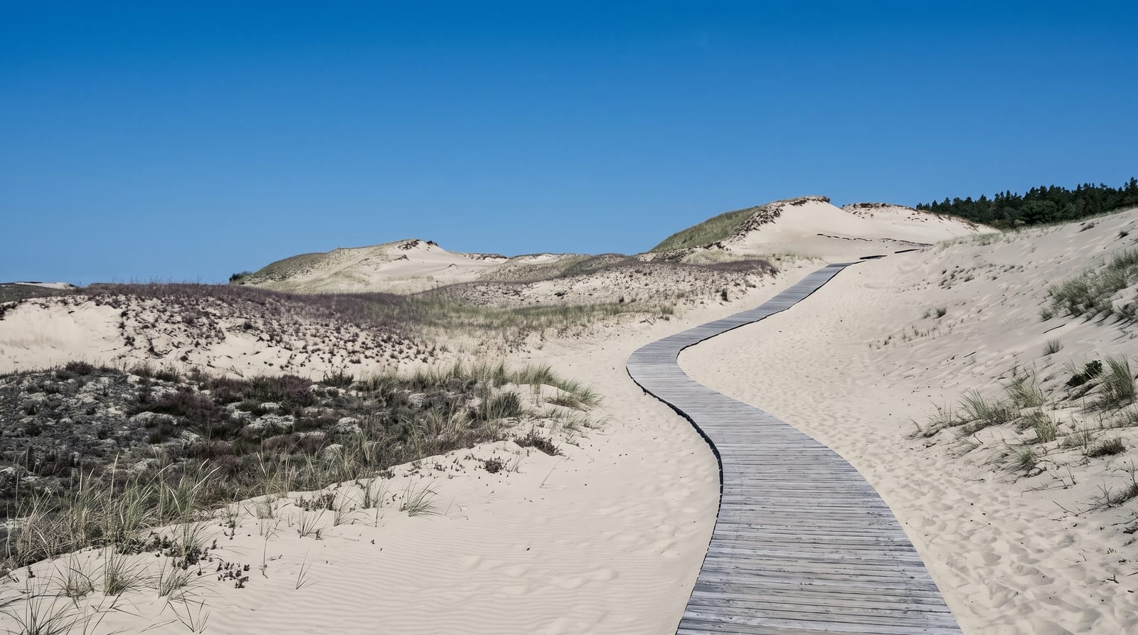 Curonian Spit