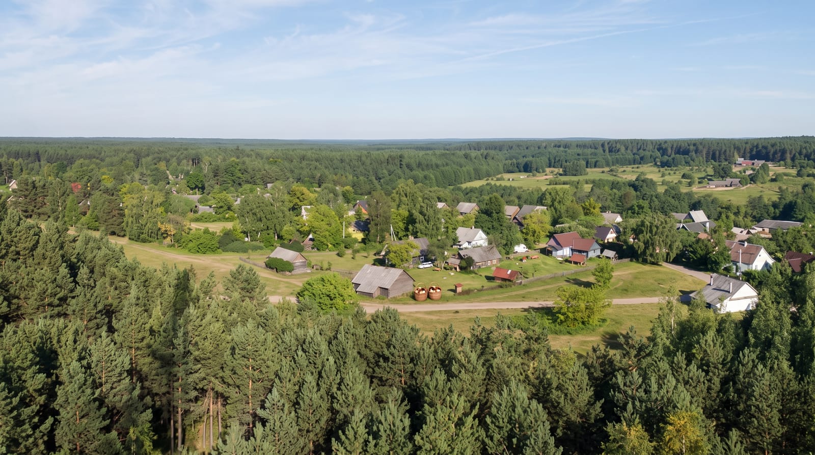 Dzukija National Park