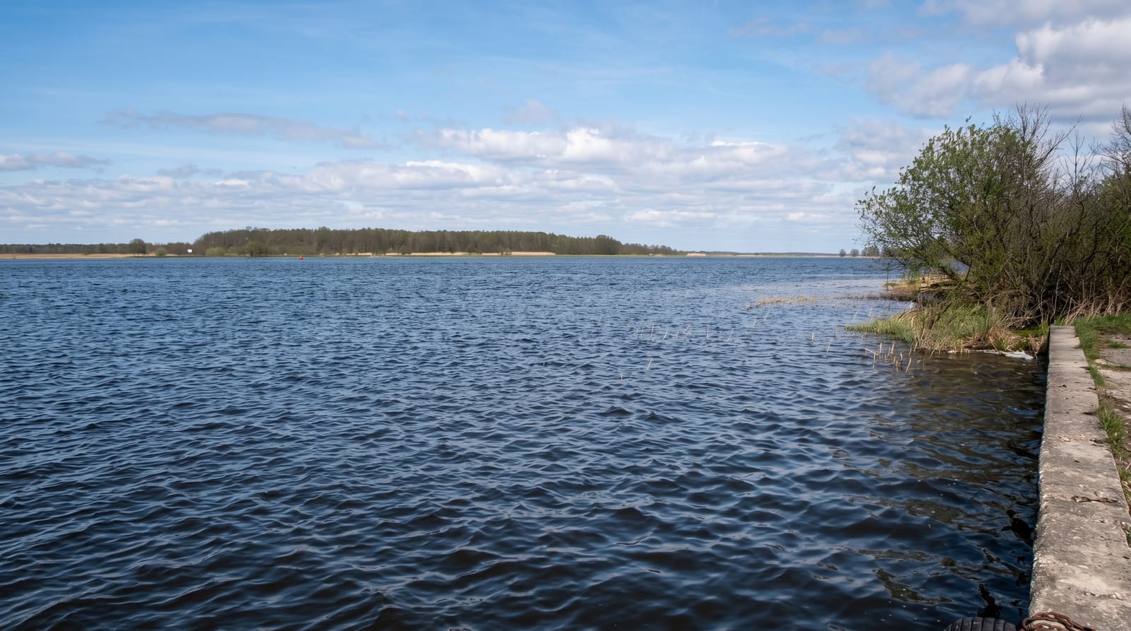 Nemunas Delta