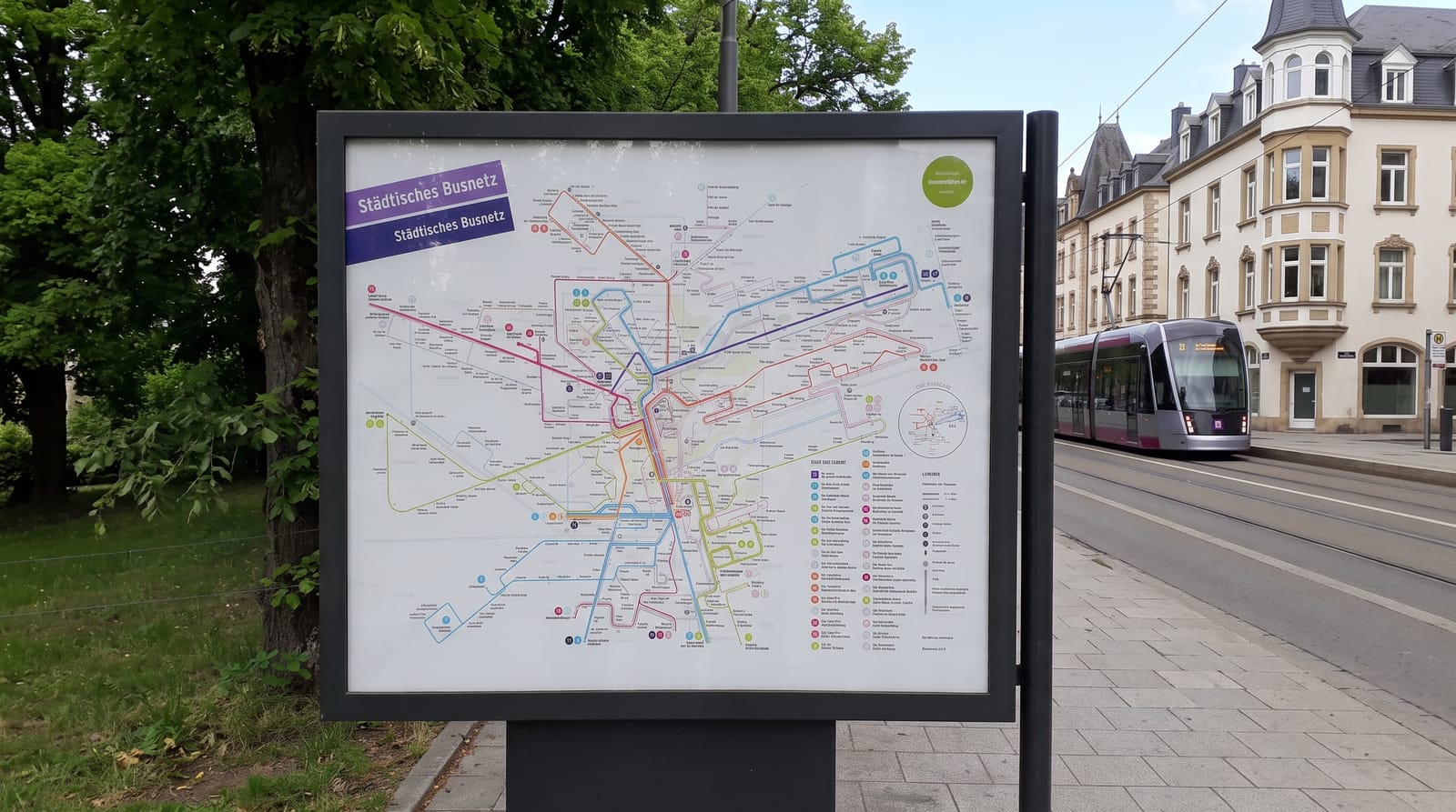 Free Public Transport